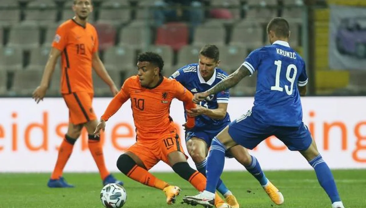 Боснія і Герцеговина – Нідерланди / Reuters