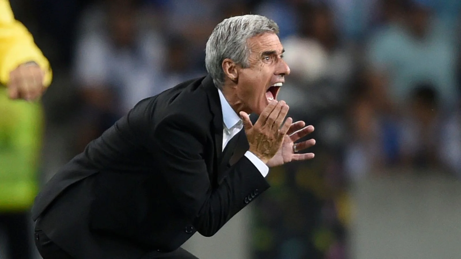 каштру каштру