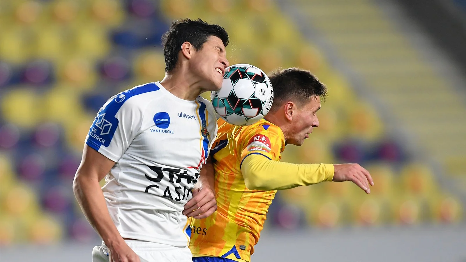 Сент-Трюйден – Васланд-Беверен / Фото Васланд-Беверен