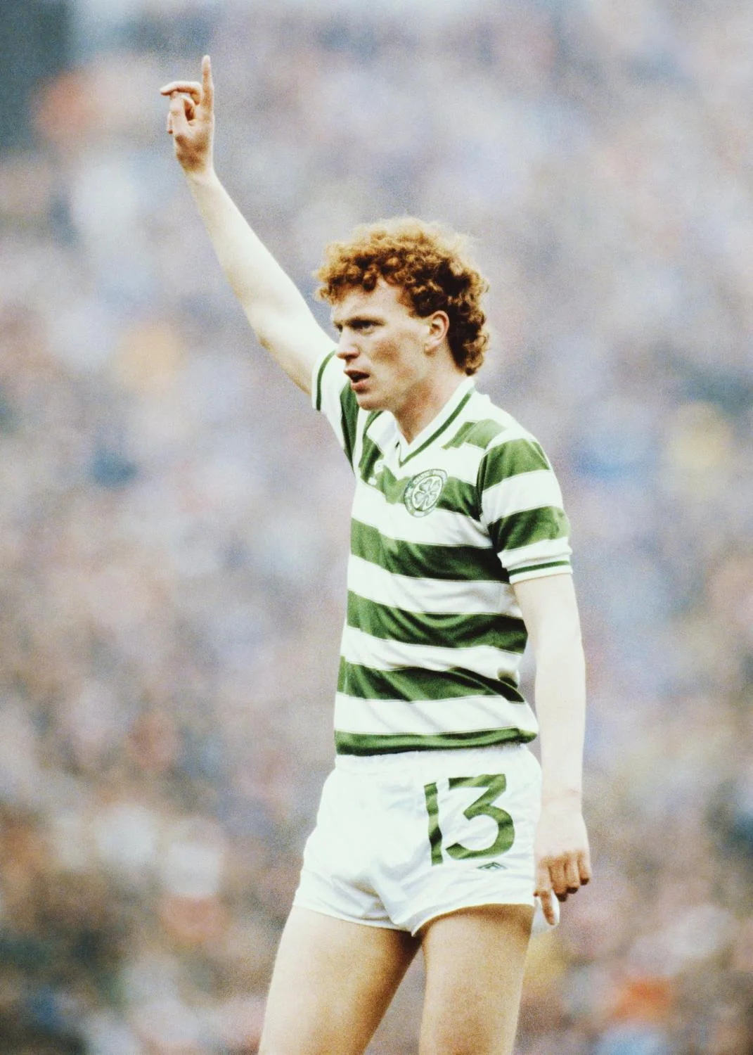 мойєс мойєс