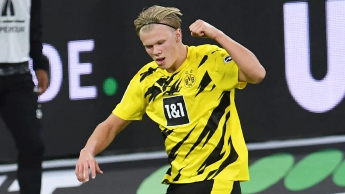 Эрлинг Холанд / Bild