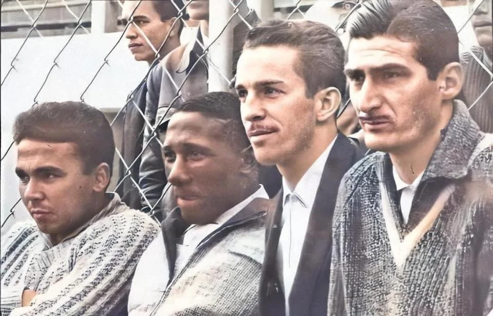 палмейрас палмейрас