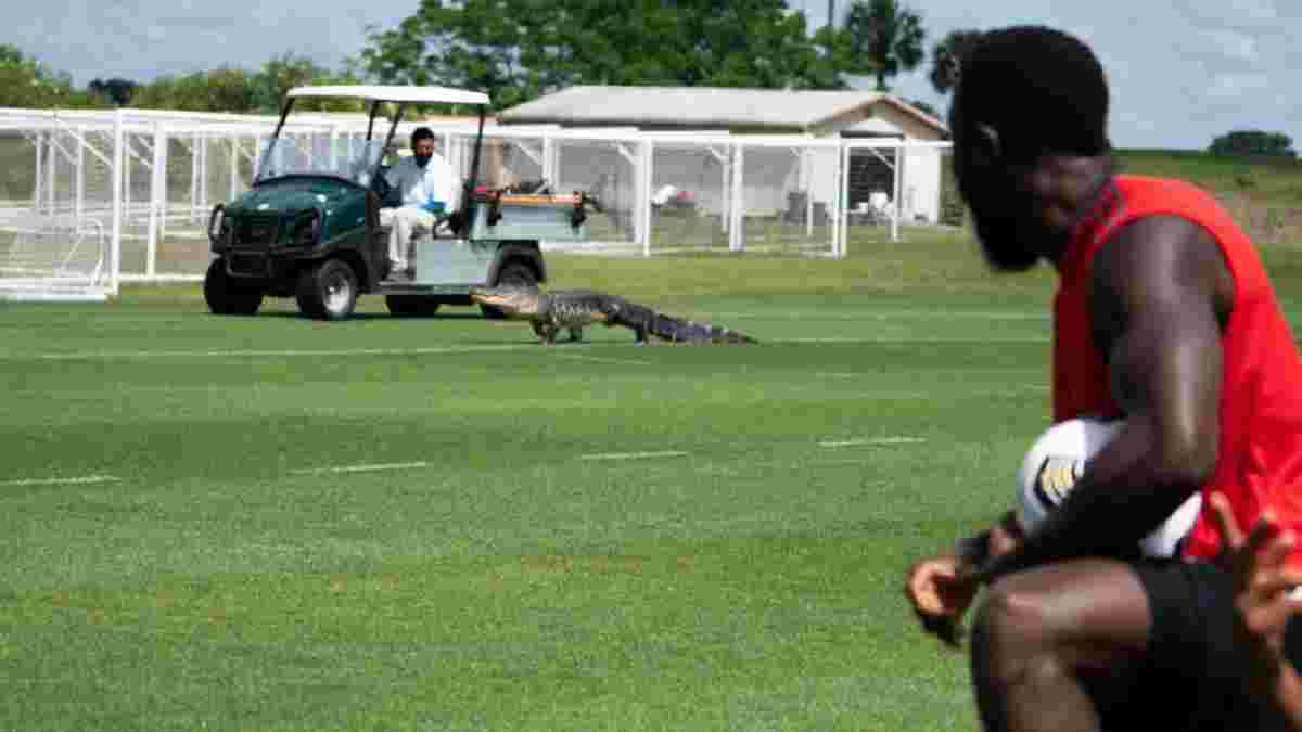 Алігатор вибіг на поле під час тренування клубу МЛС – відео реакції гравців