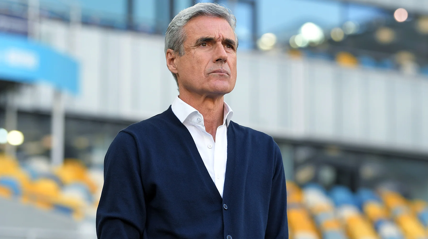 Луїш Каштру / ФК Шахтар