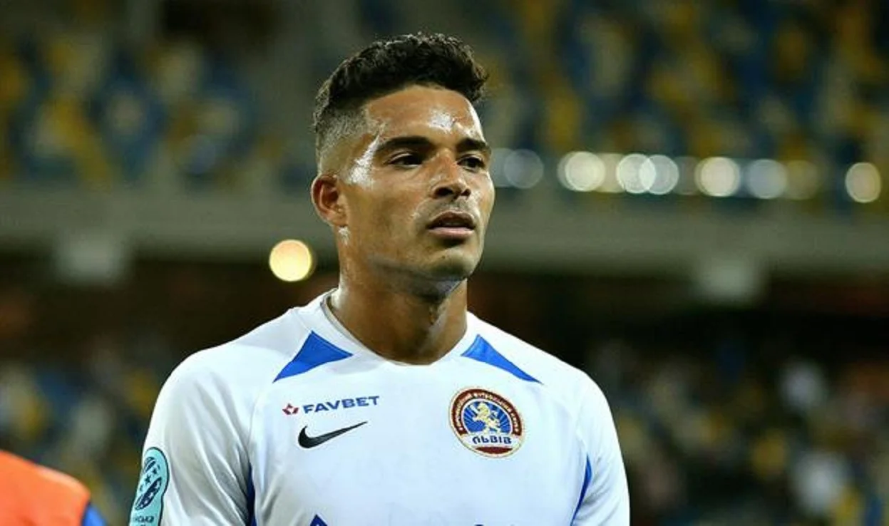 Шина / Сайт Львова