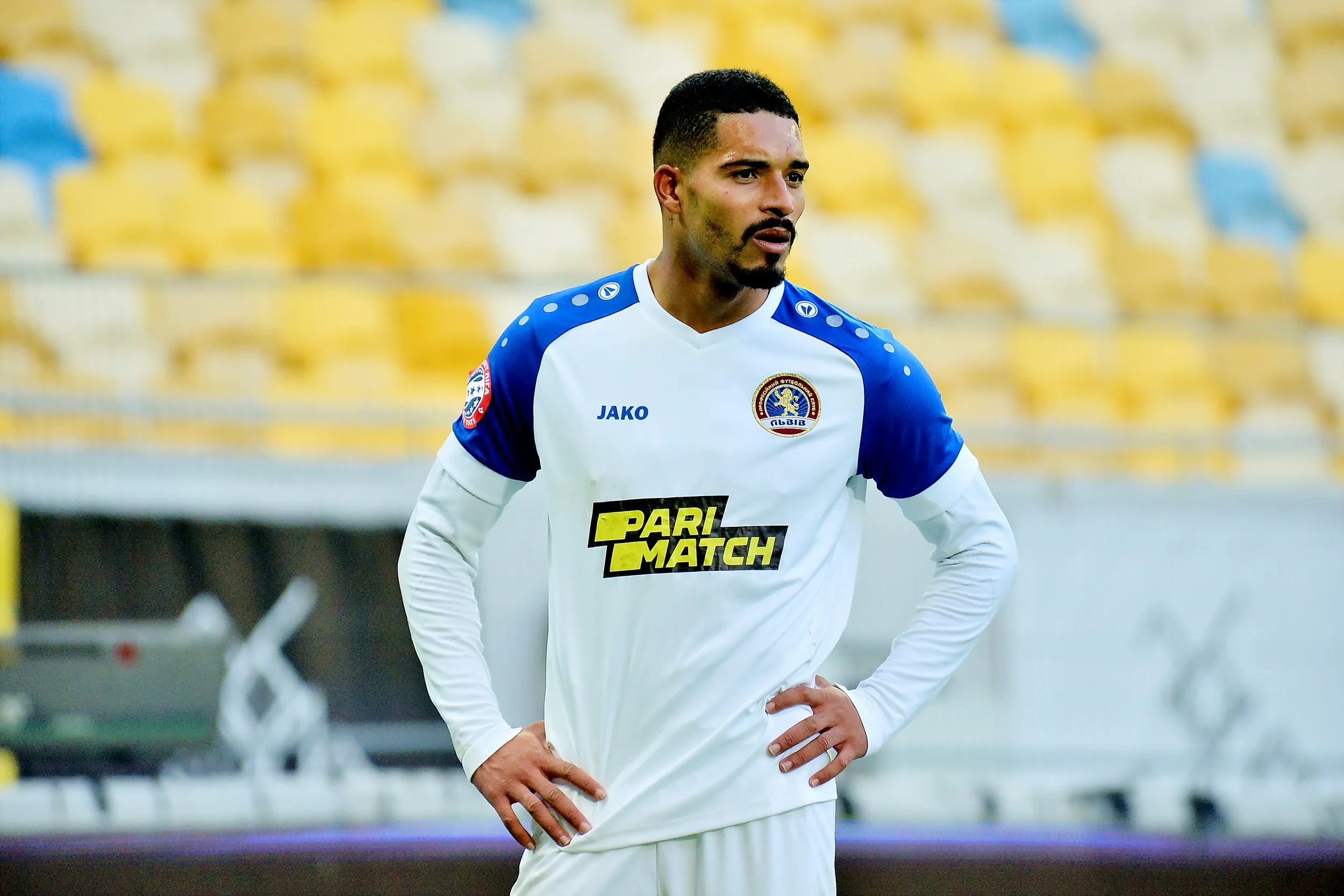 Шина / Сайт Львова