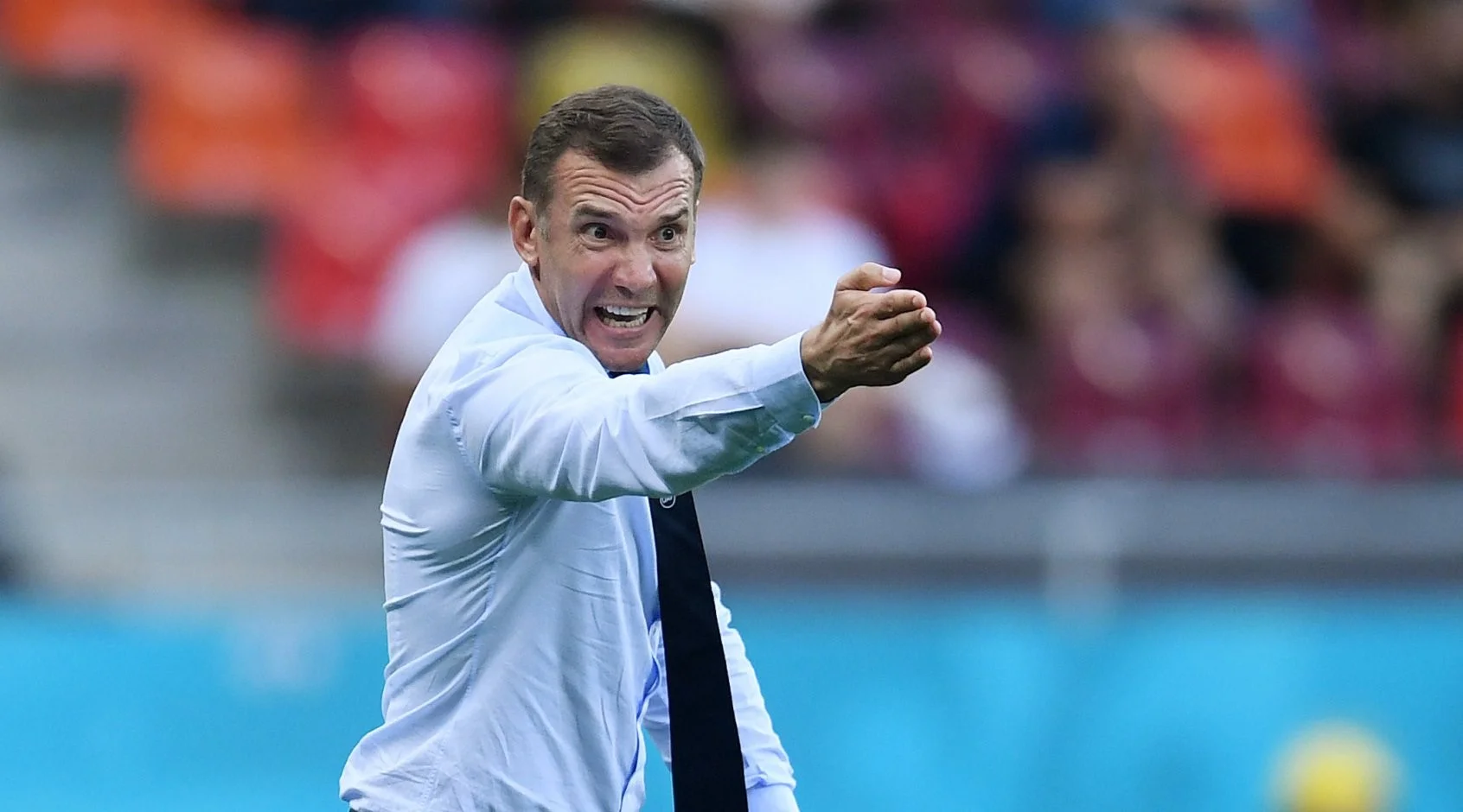 шевченко шевченко