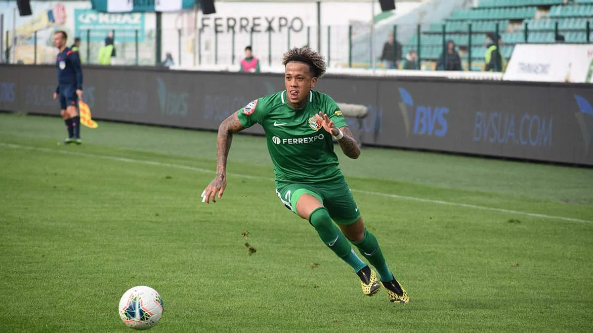 Луїзао / Сайт Ворскли