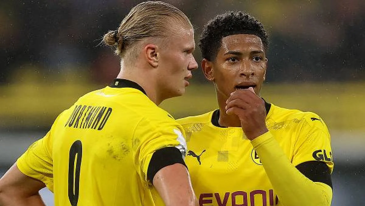 Холанд та Беллінгем / фото з відкритих джерел