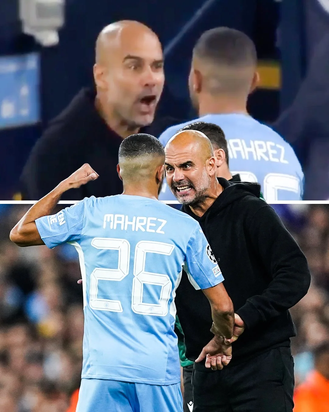 гвардіола марез