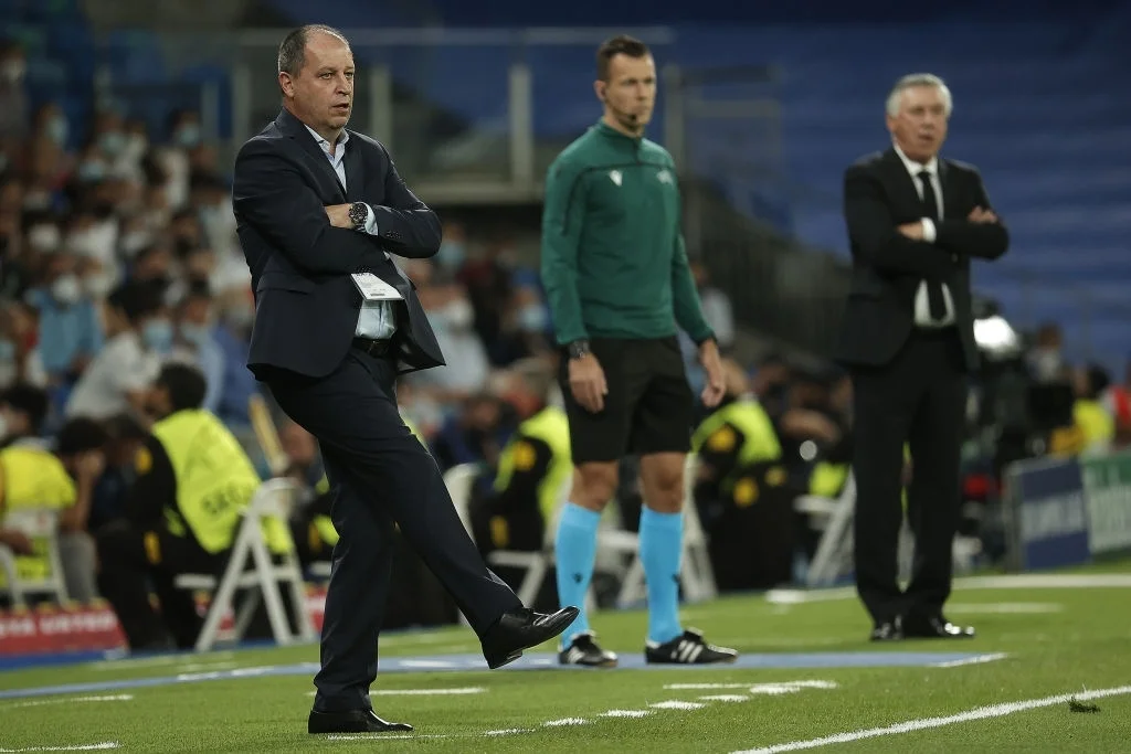 вернидуб анчелотті вернидуб анчелотті