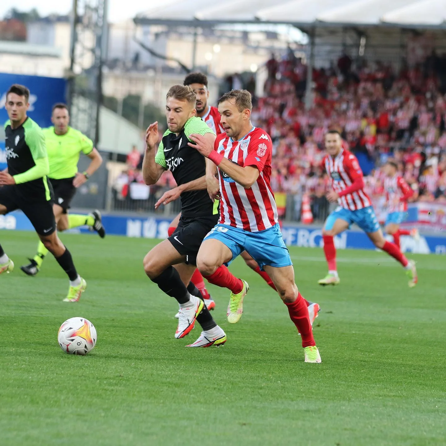 лебеденко лебеденко