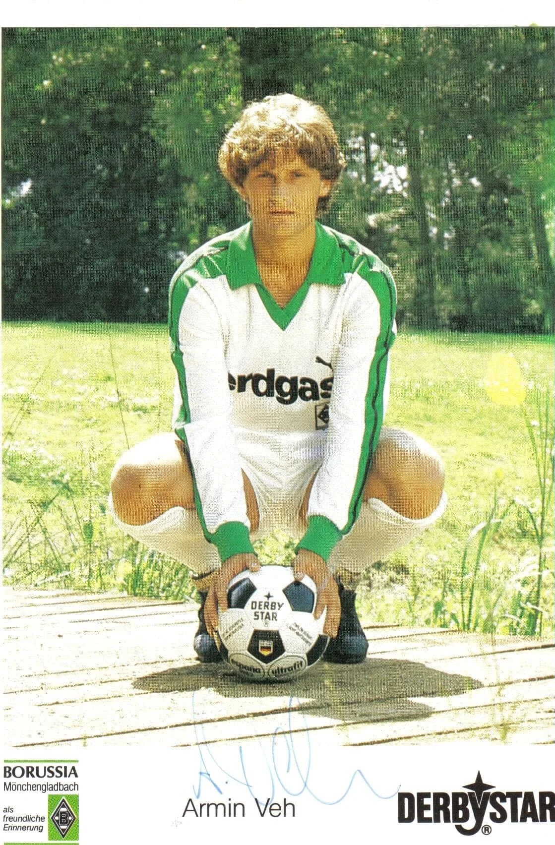 армін фе армін фе