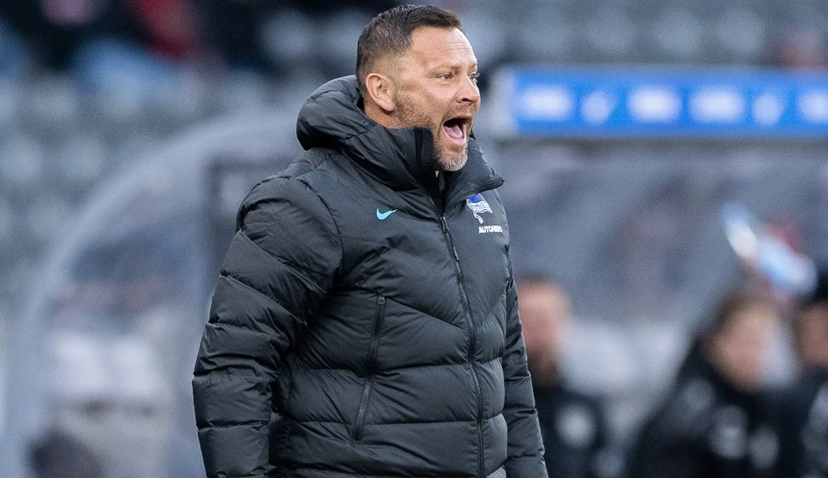 Паль Дардай / Сайт Герты