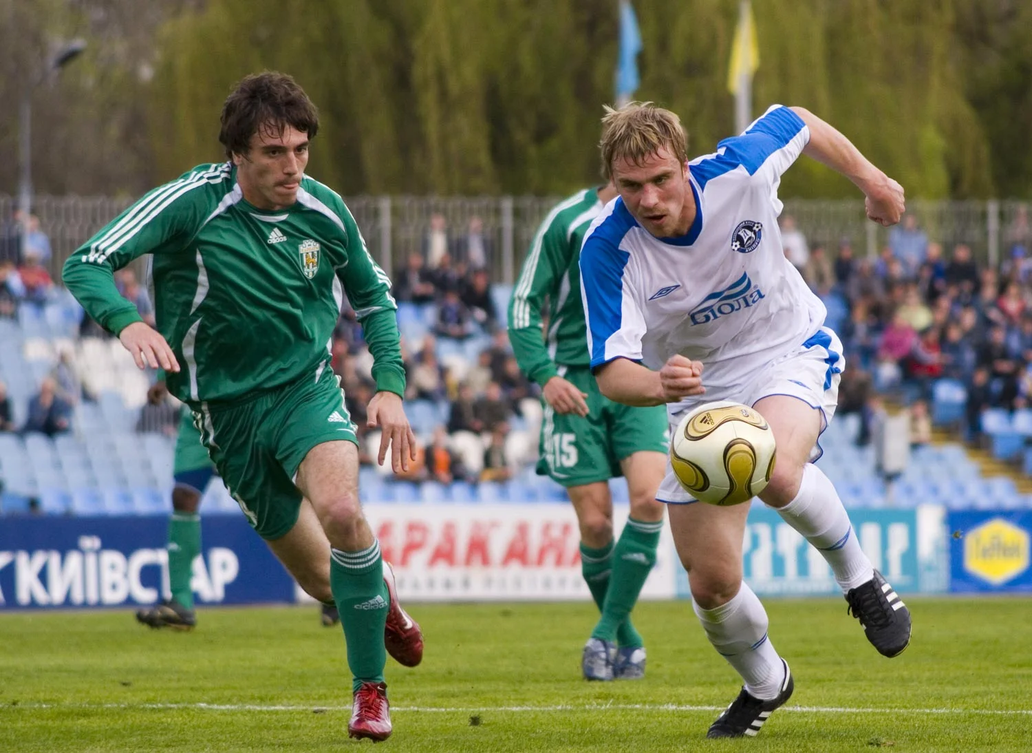 пшеничних пшеничних