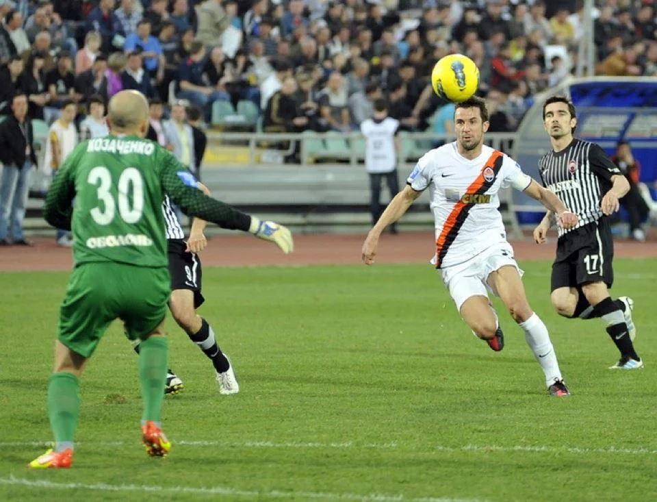 козаченко срна козаченко срна