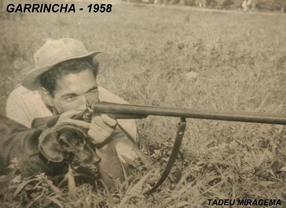 гаррінча гаррінча