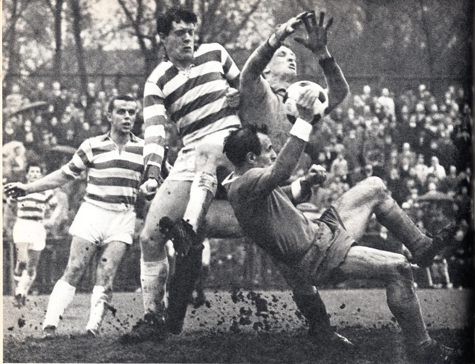 шальке дуйсбург шальке дуйсбург