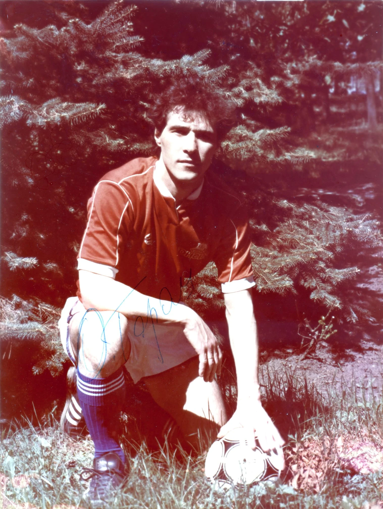 таран таран