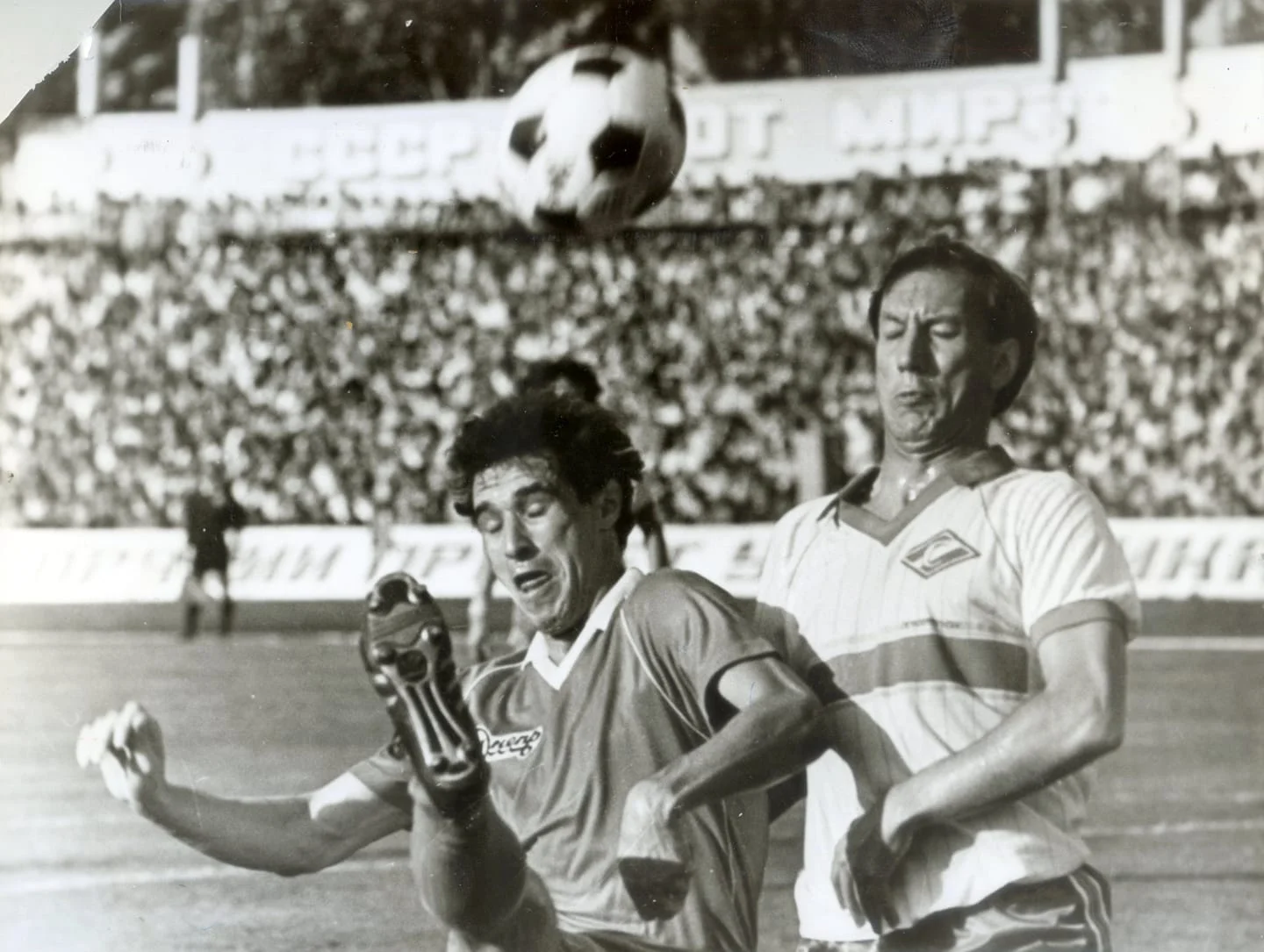 таран таран