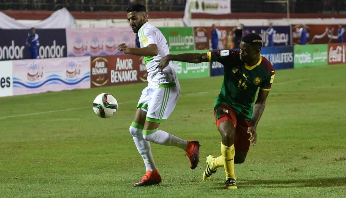 Алжир переміг Камерун / фото: Getty Images