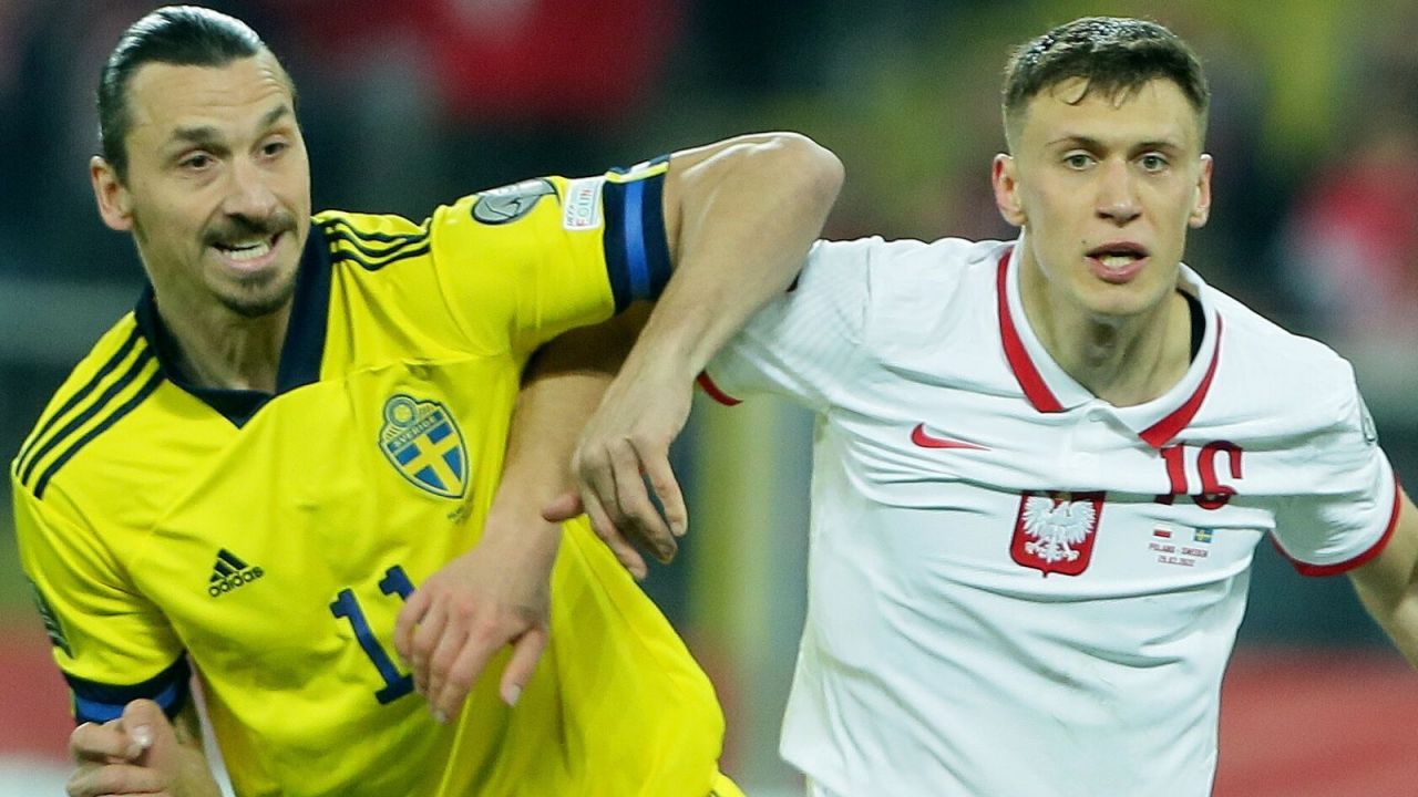 Златан Ібрагімовіч у матчі Польща – Швеція / Getty Images