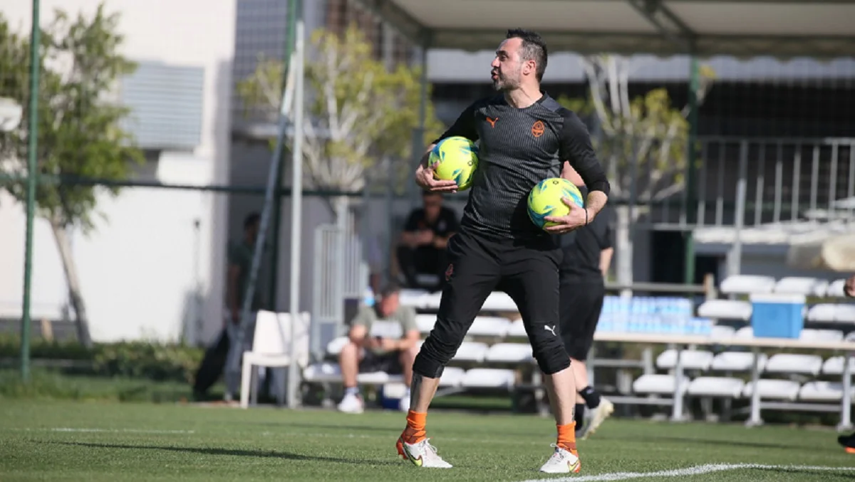 Роберто Де Дзерби / ФК Шахтер