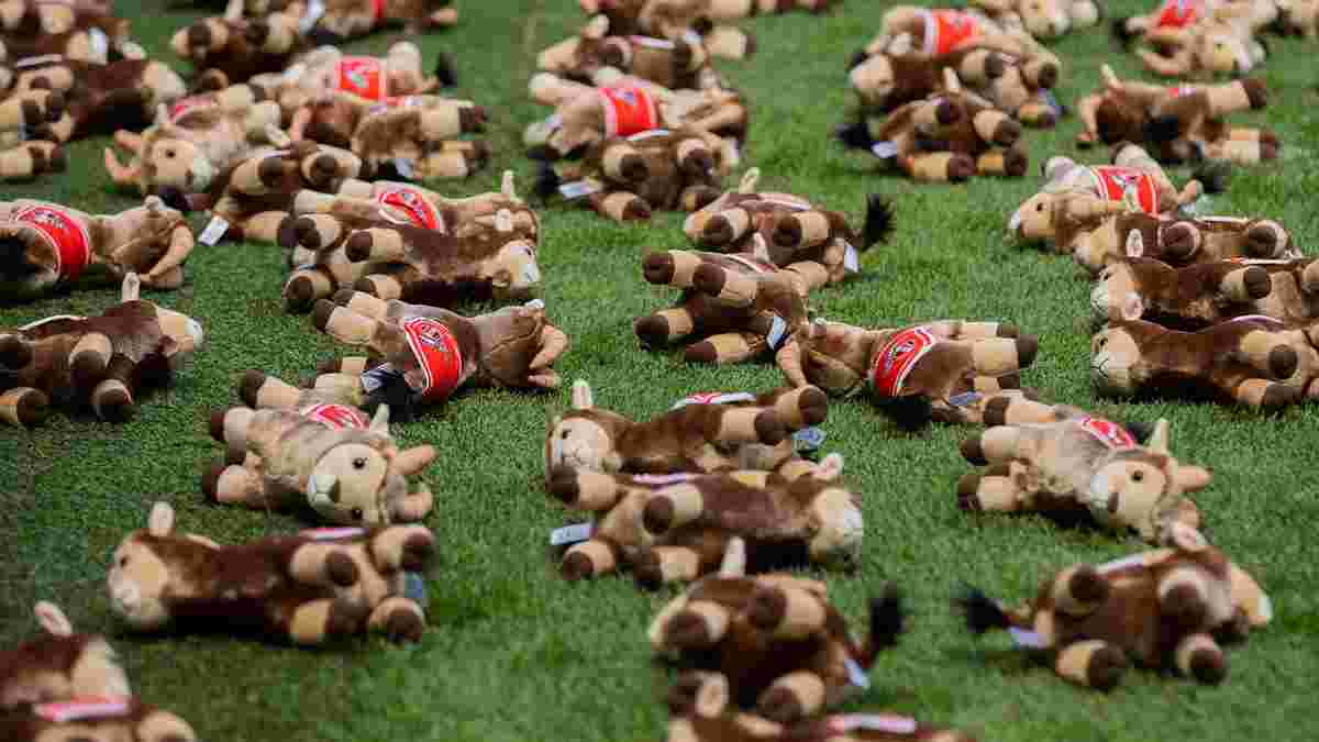 Зворушлива акція у Бундеслізі – 220 іграшок на полі в пам'ять про українських дітей, яких вбила Росія