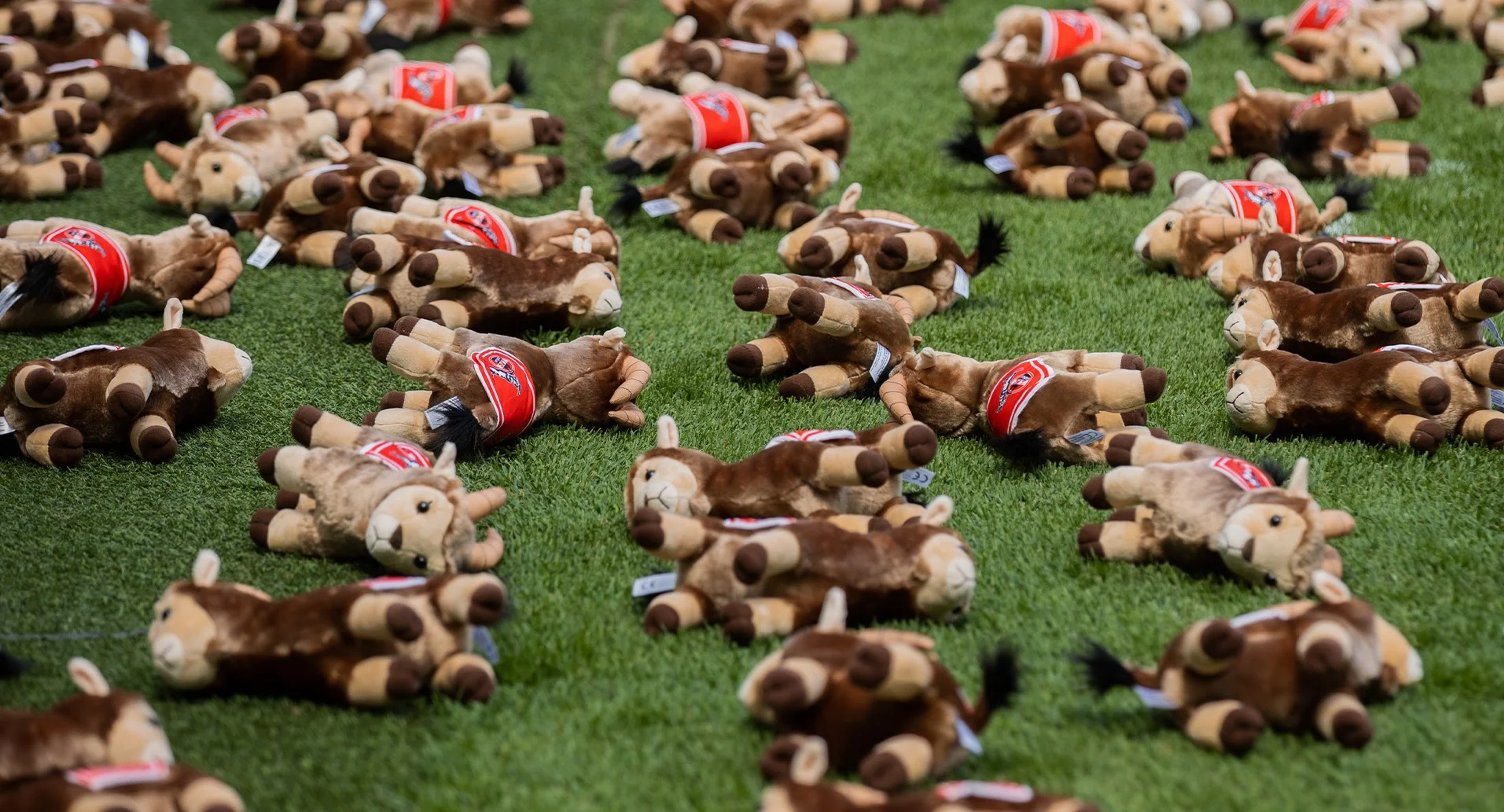 Каждая игрушка – убитый украинчик / Кельн