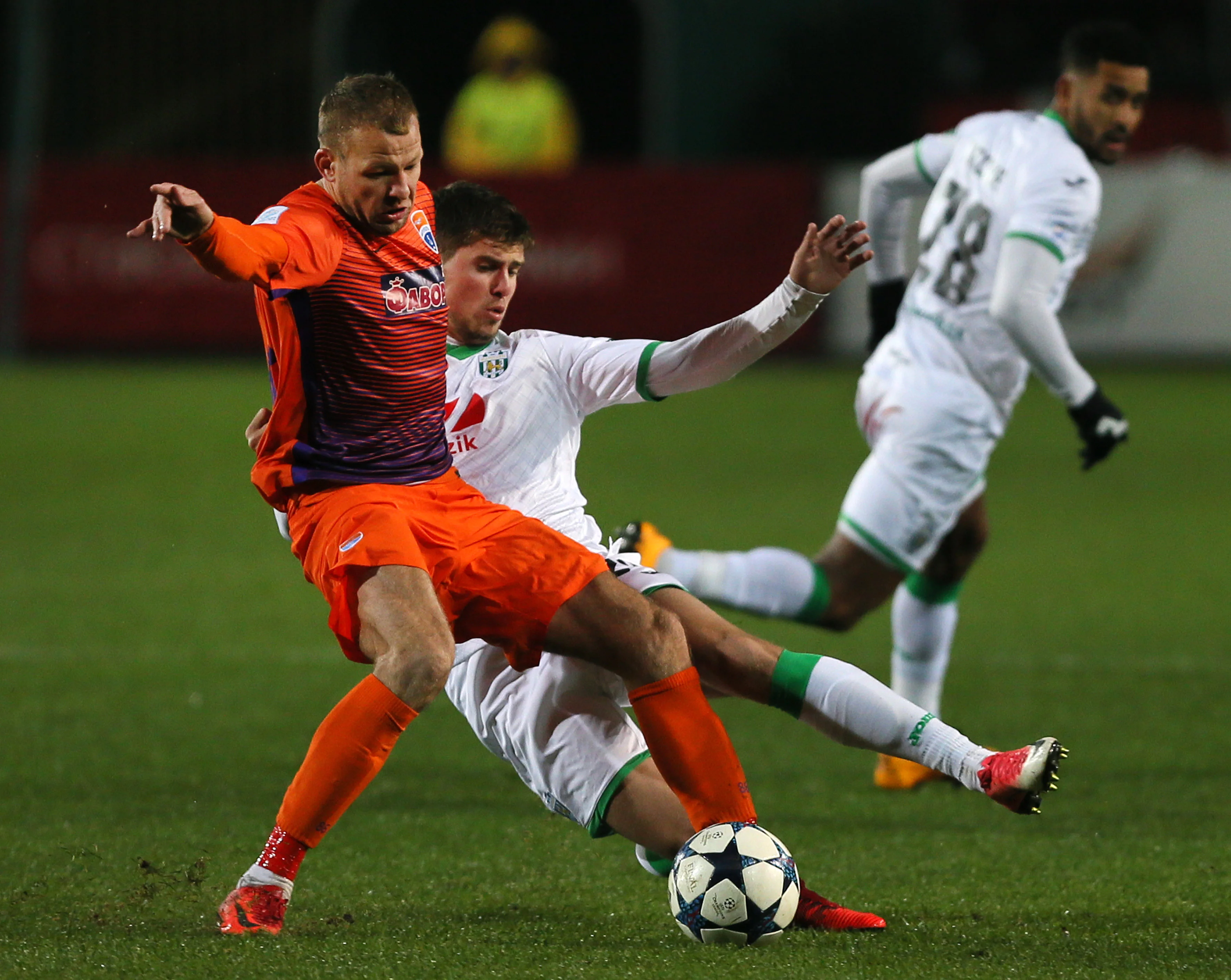 сениця сениця