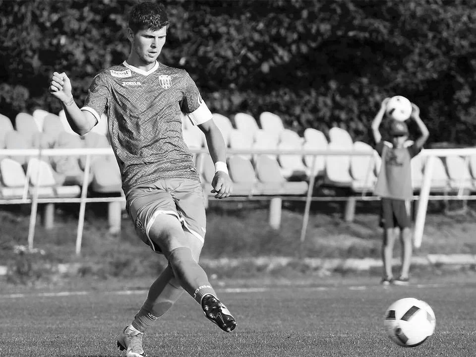 сениця сениця