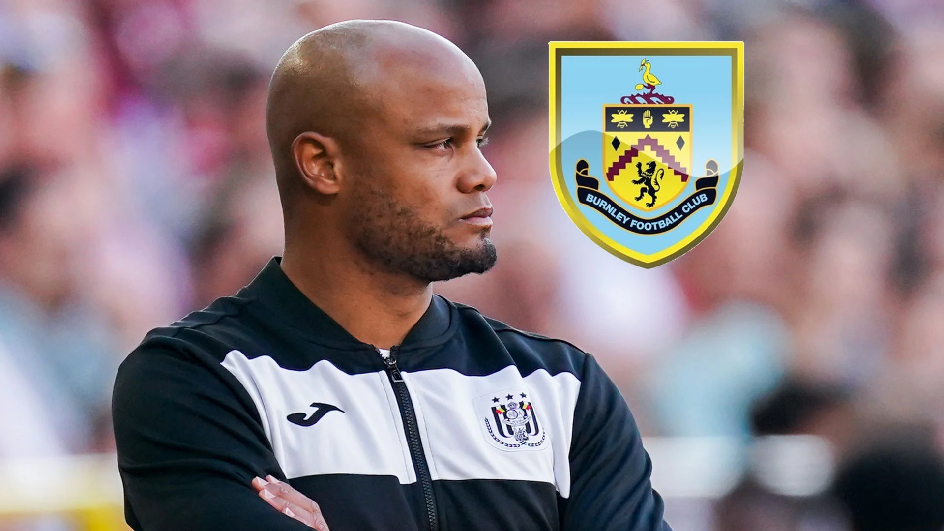 Венсан Компани