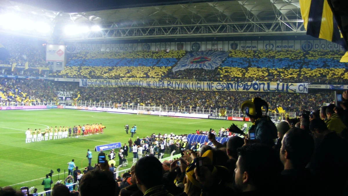 Болельщики Фенербахче / фото из открытых источников