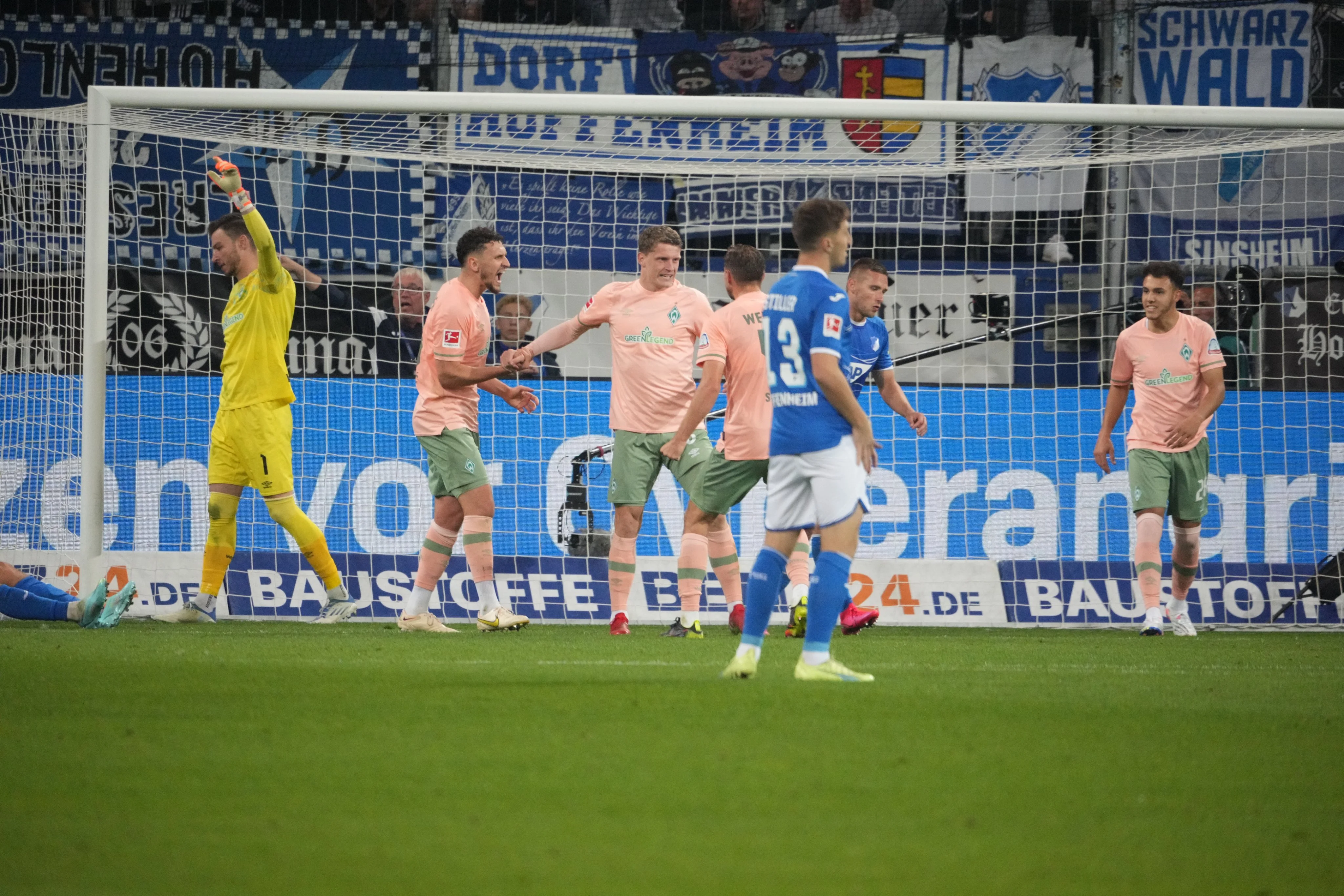 Хоффенхайм – Вердер – 1:2