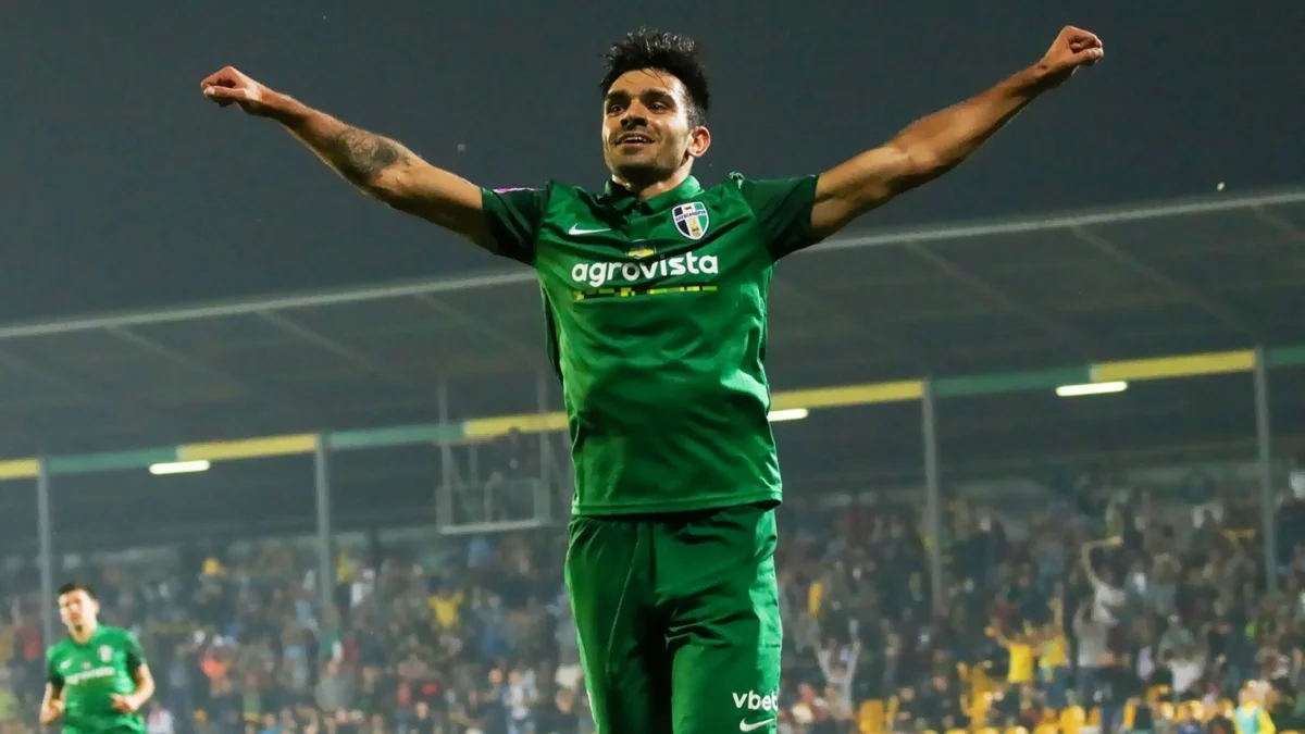 Сергей Гринь / ФК Александрия