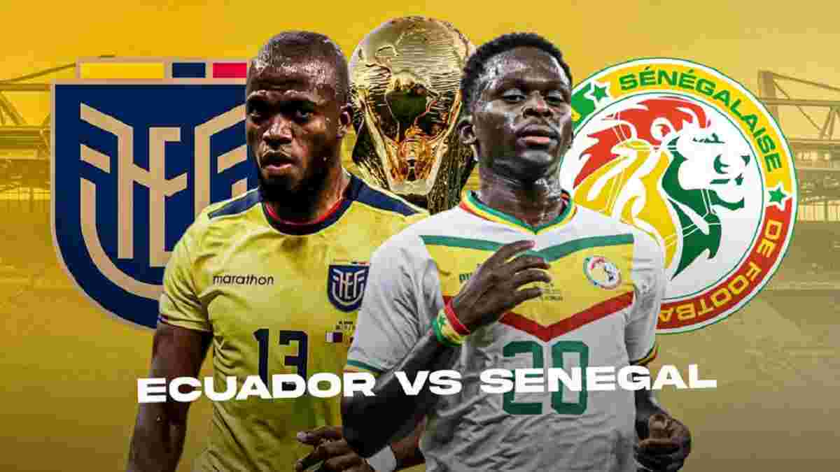 Эквадор – Сенегал: анонс матча ЧМ-2022 – болеем за неожиданного друга Украины!