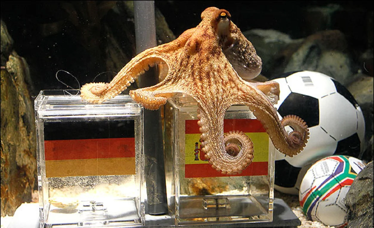 Дело осьминога Пауля живет / Reuters