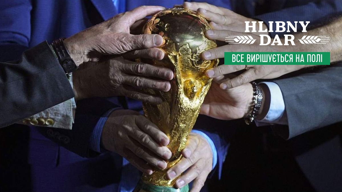 Чемпионат мира-2022
