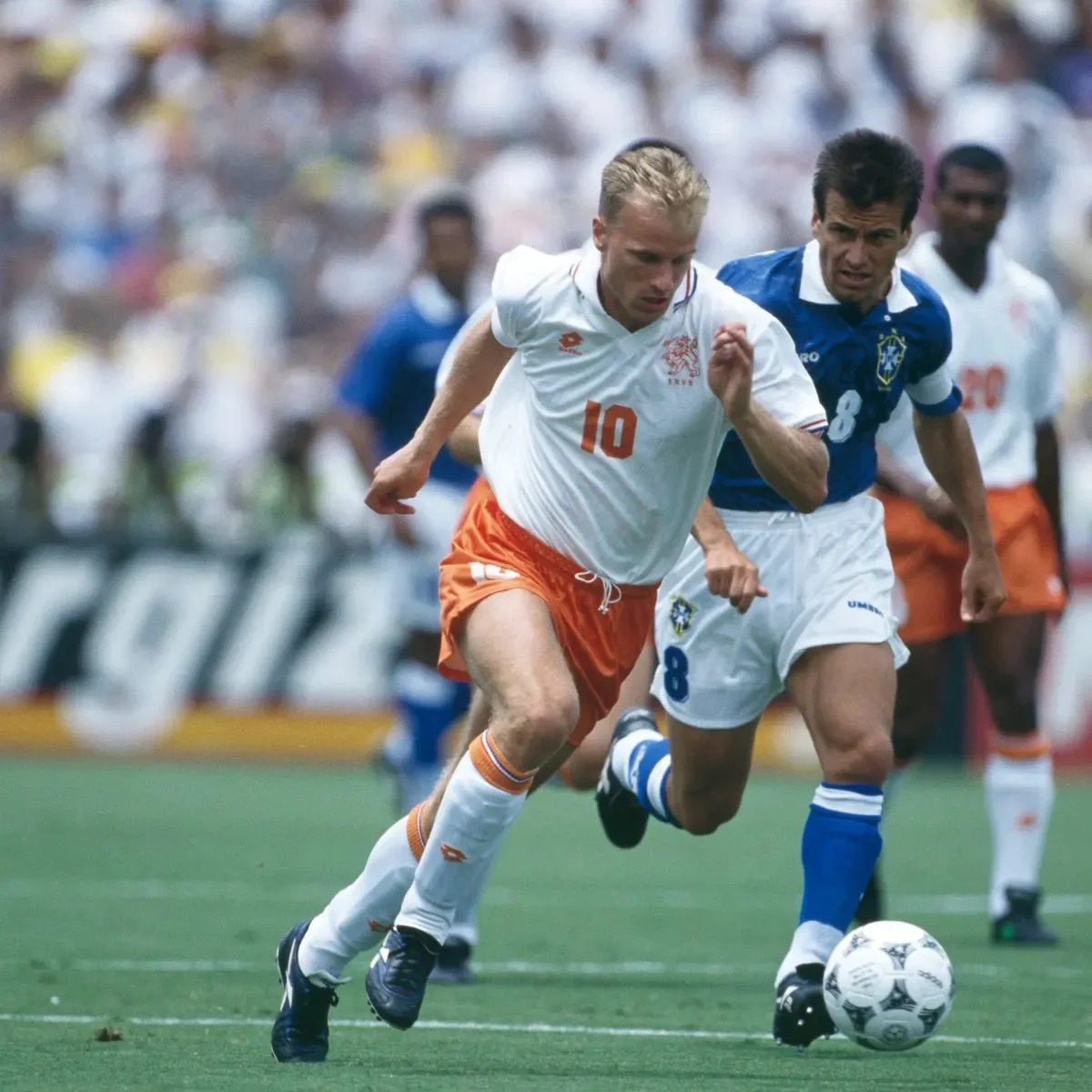 бергкамп дунга