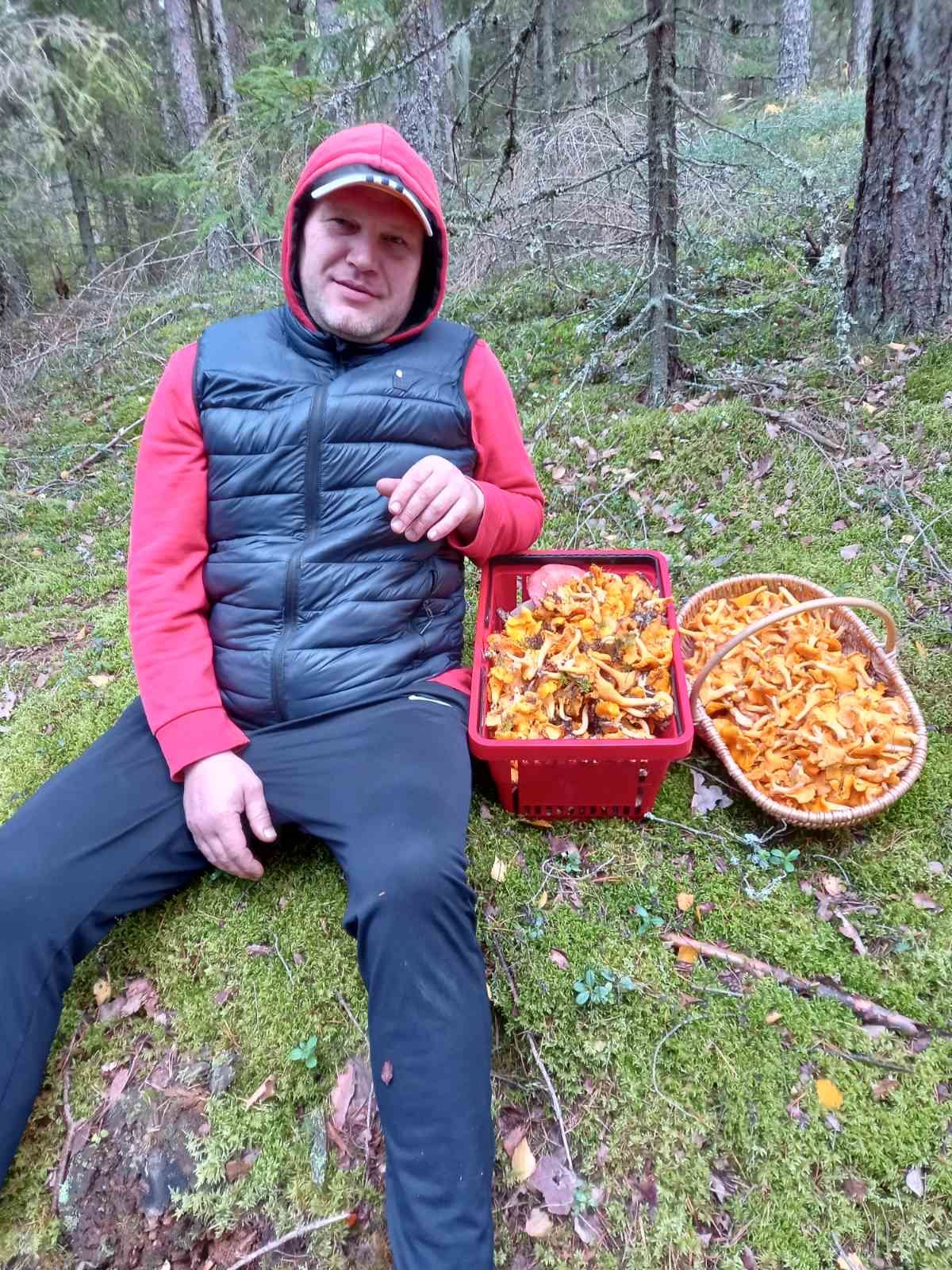 фенін