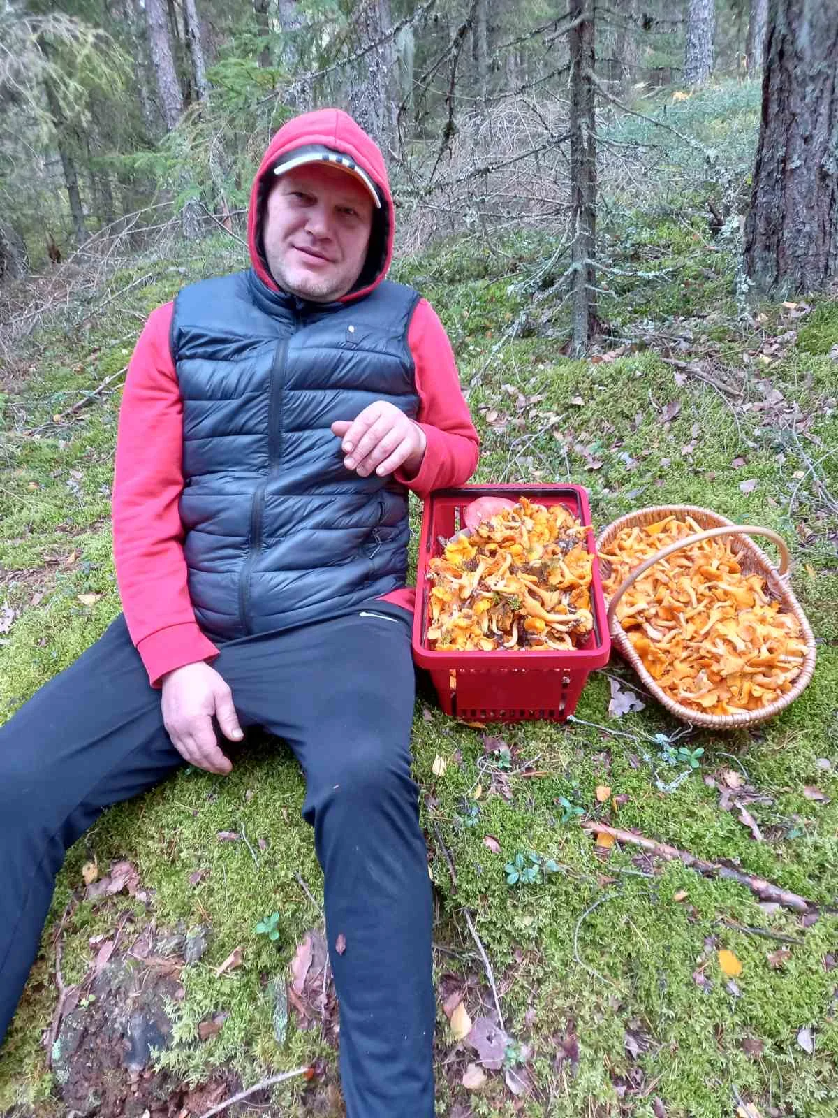 фенін фенін