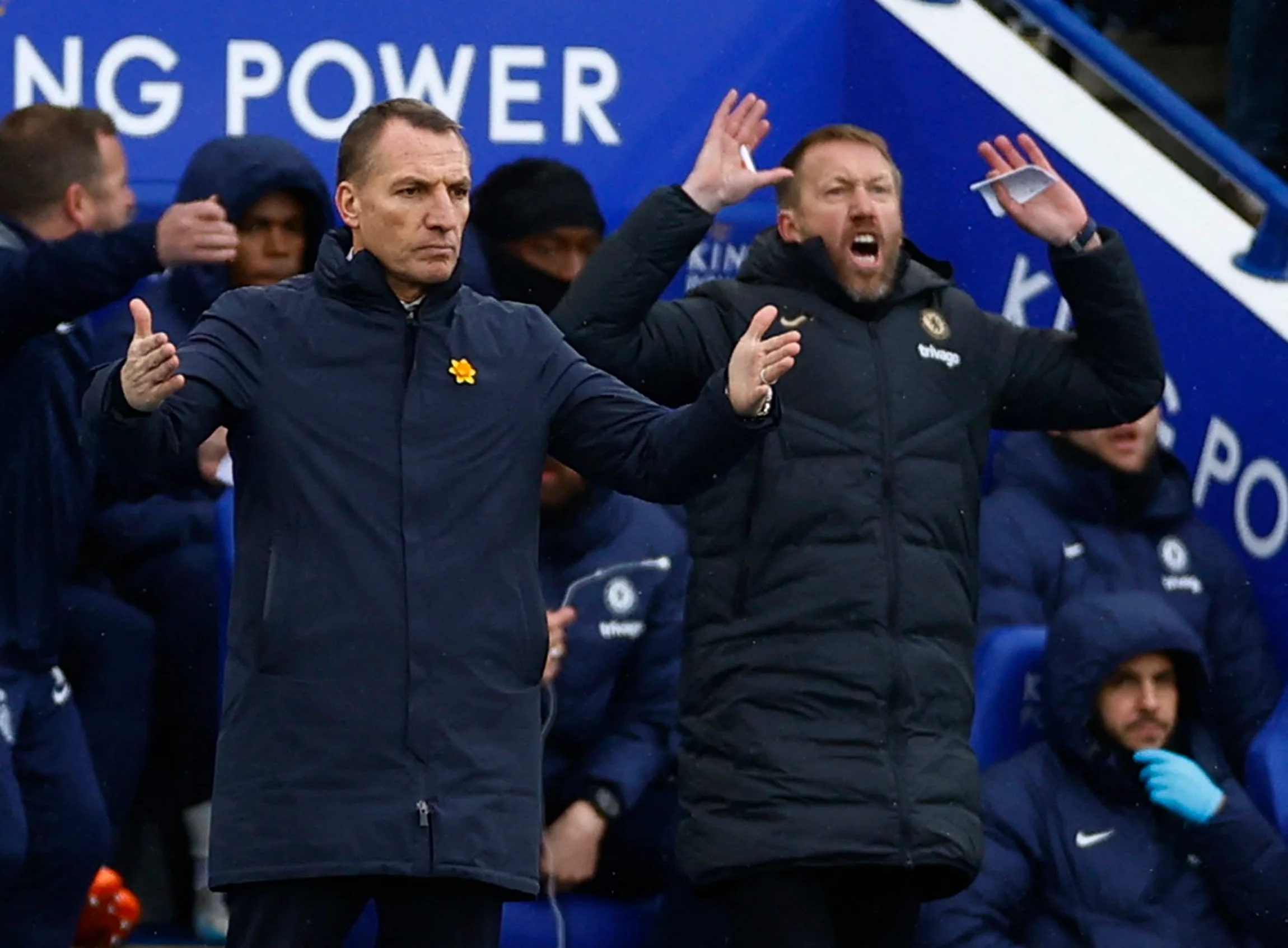 Брендан Роджерс и Грэм Поттер / thesun.co.uk