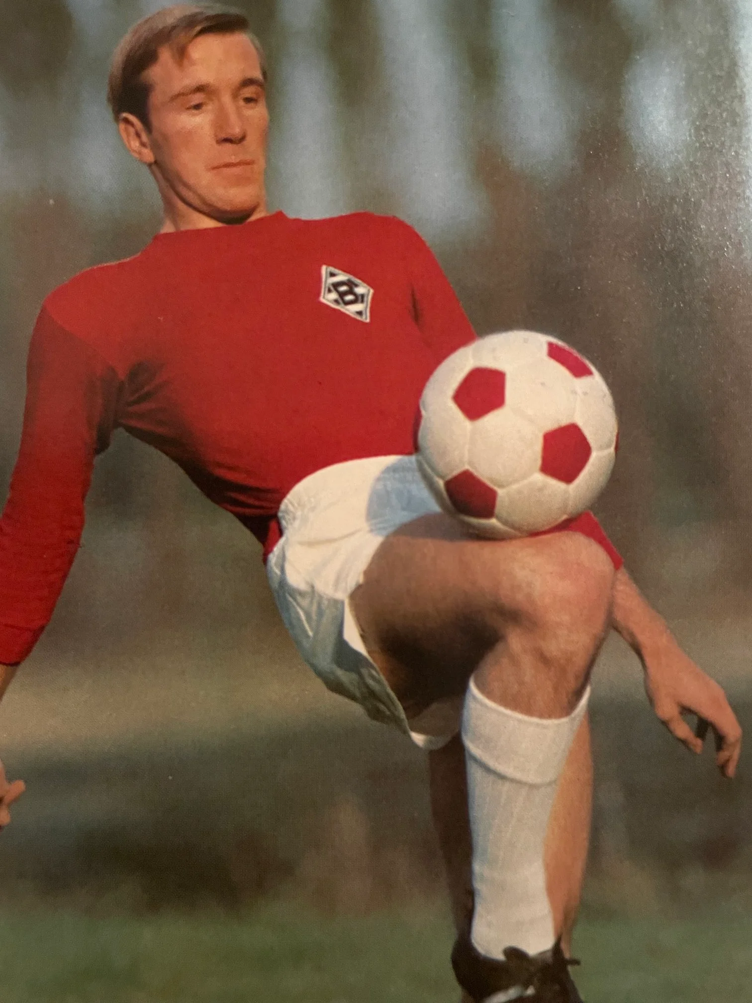 нетцер нетцер