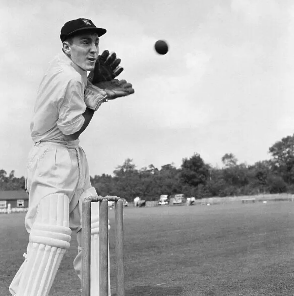 грівз грівз