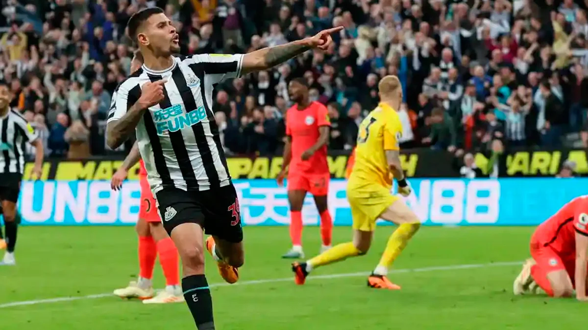 Ньюкасл – Брайтон – 4:1