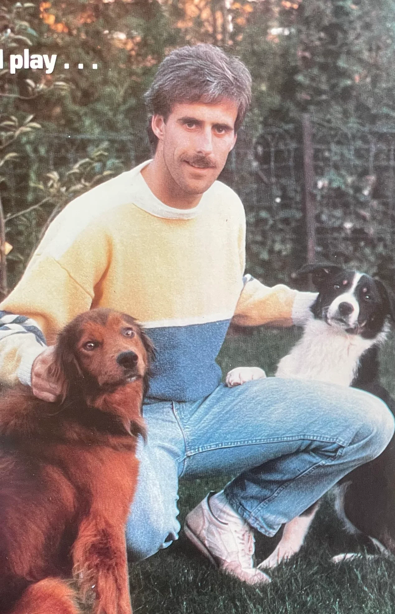 маккарті маккарті