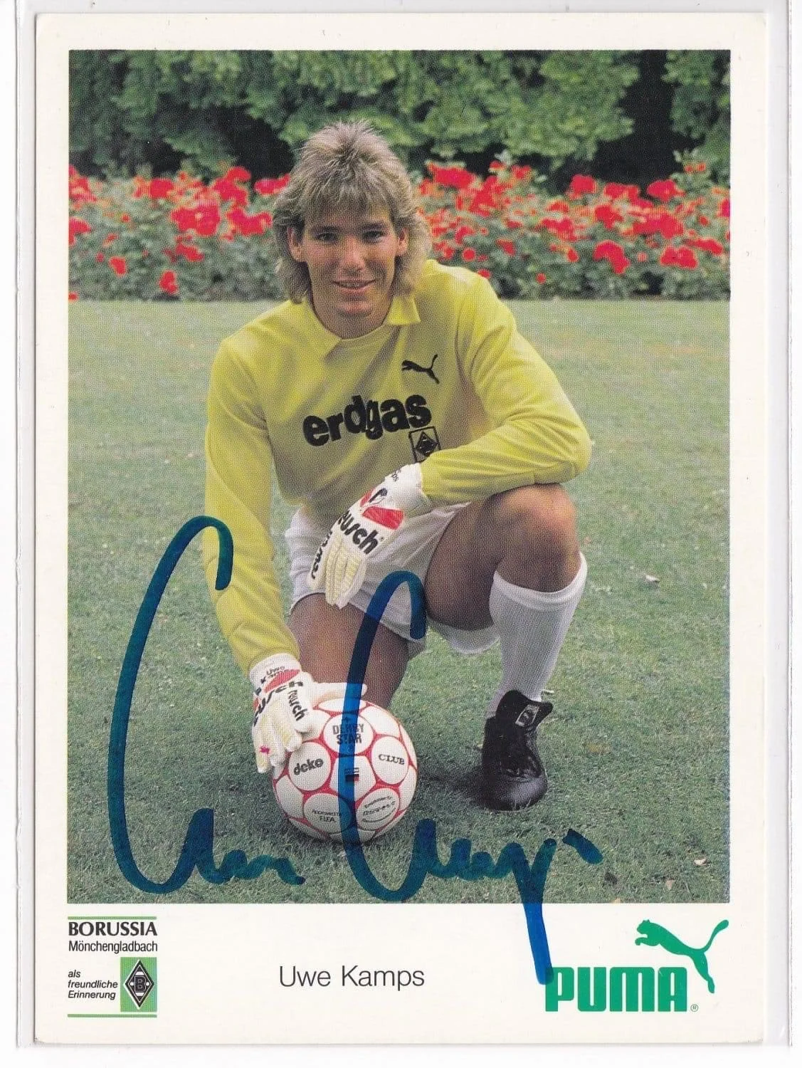 кампс кампс