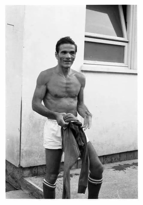 пазоліні пазоліні