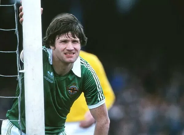 пет райс пет райс