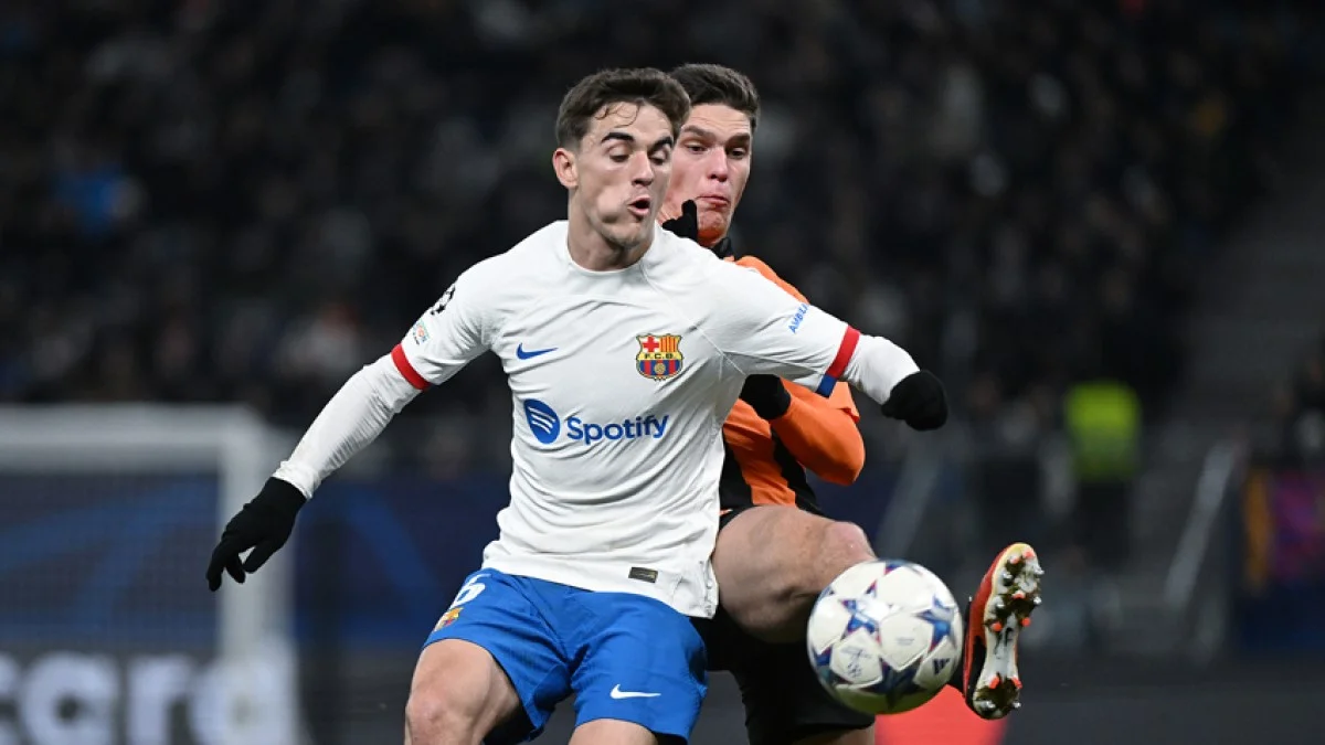 Судаков проти Гаві